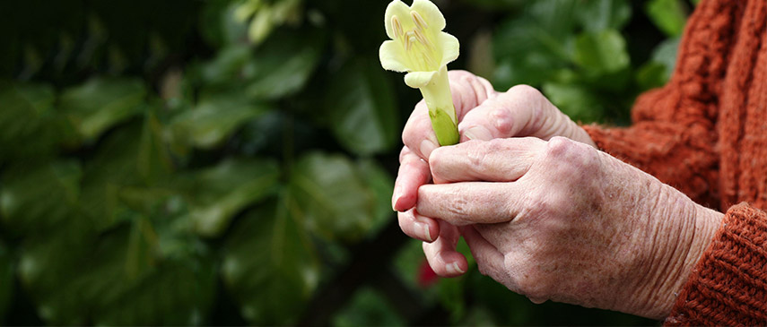 Natural Ways to Relieve Arthritis Pain arthrits arthritis