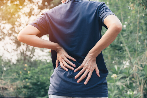The 3 parts of your spinal anatomy that are likely behind your lower back pain shutterstock 1719448708 2 spinal anatomy